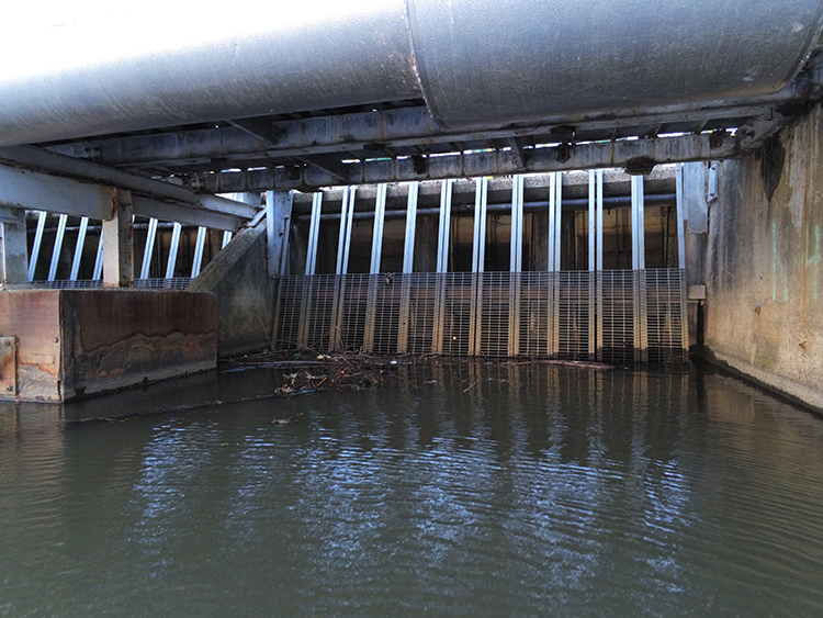 Remote Sensor Vehicle (ROV) Inspection of a dam